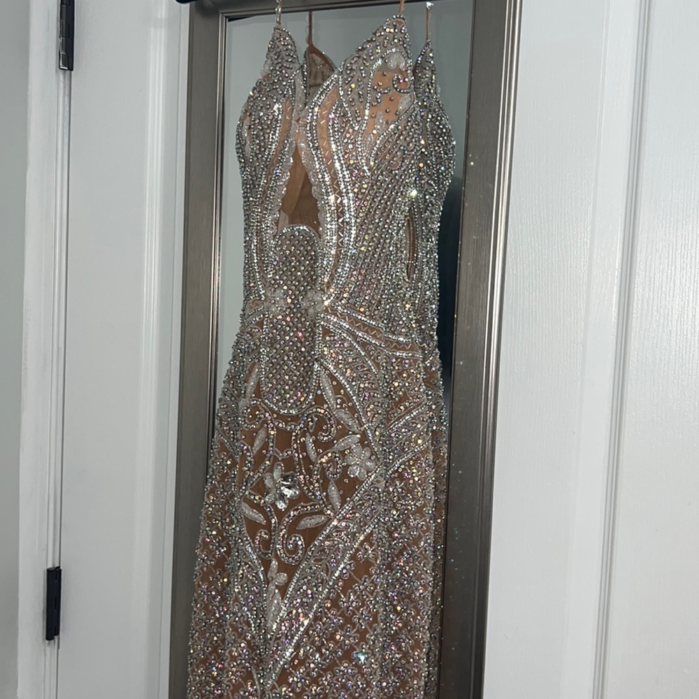 Portia and Scarlett Beaded feathers V neck gown nude